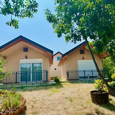 S&M Apartments Rijeka Crnojevića Екстериор снимка